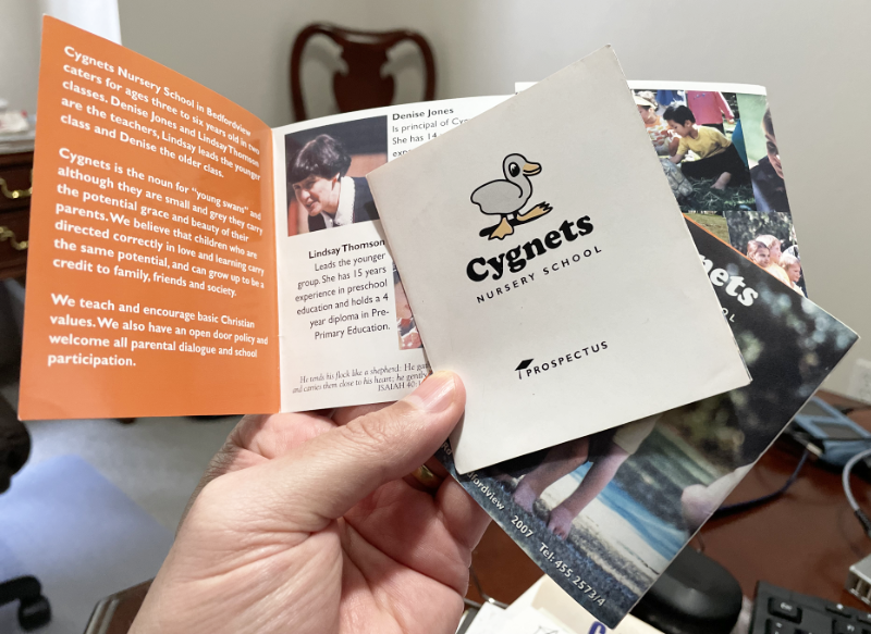 CygnetsBrochure.png